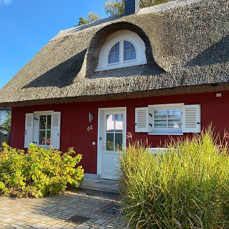 Ferienhaus Greta 글로페 외부 사진
